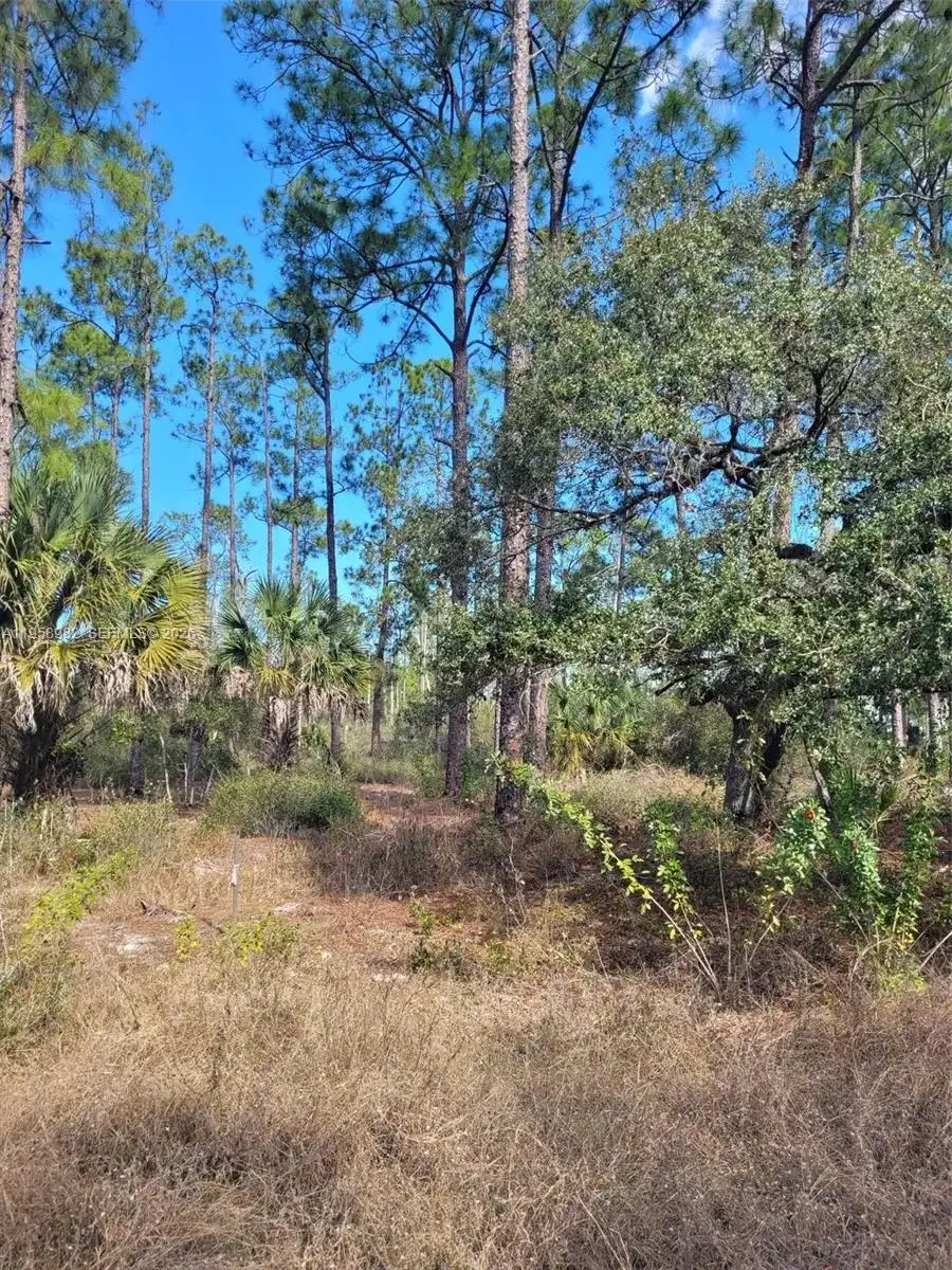 7620 19th PL Wheeler, La Belle FL 33935 photo 2