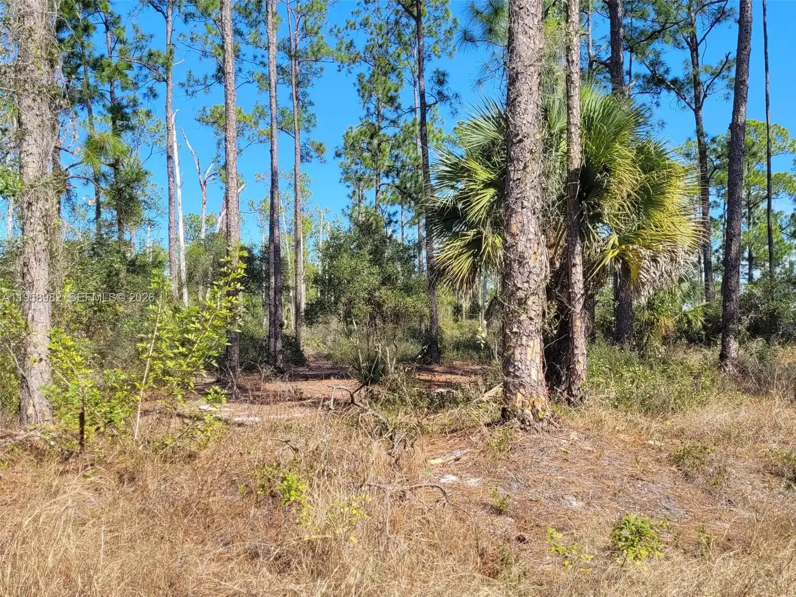 7620 19th PL Wheeler, La Belle FL 33935 photo 5