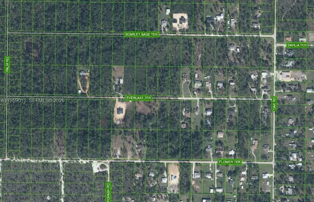 1977 SCARLET SAGE TER, Sebring FL 33875 photo 4