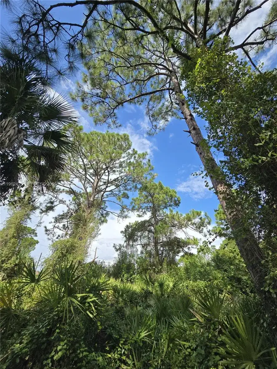 233 MALDEN AVE S, Lehigh Acres FL 33974 photo 2