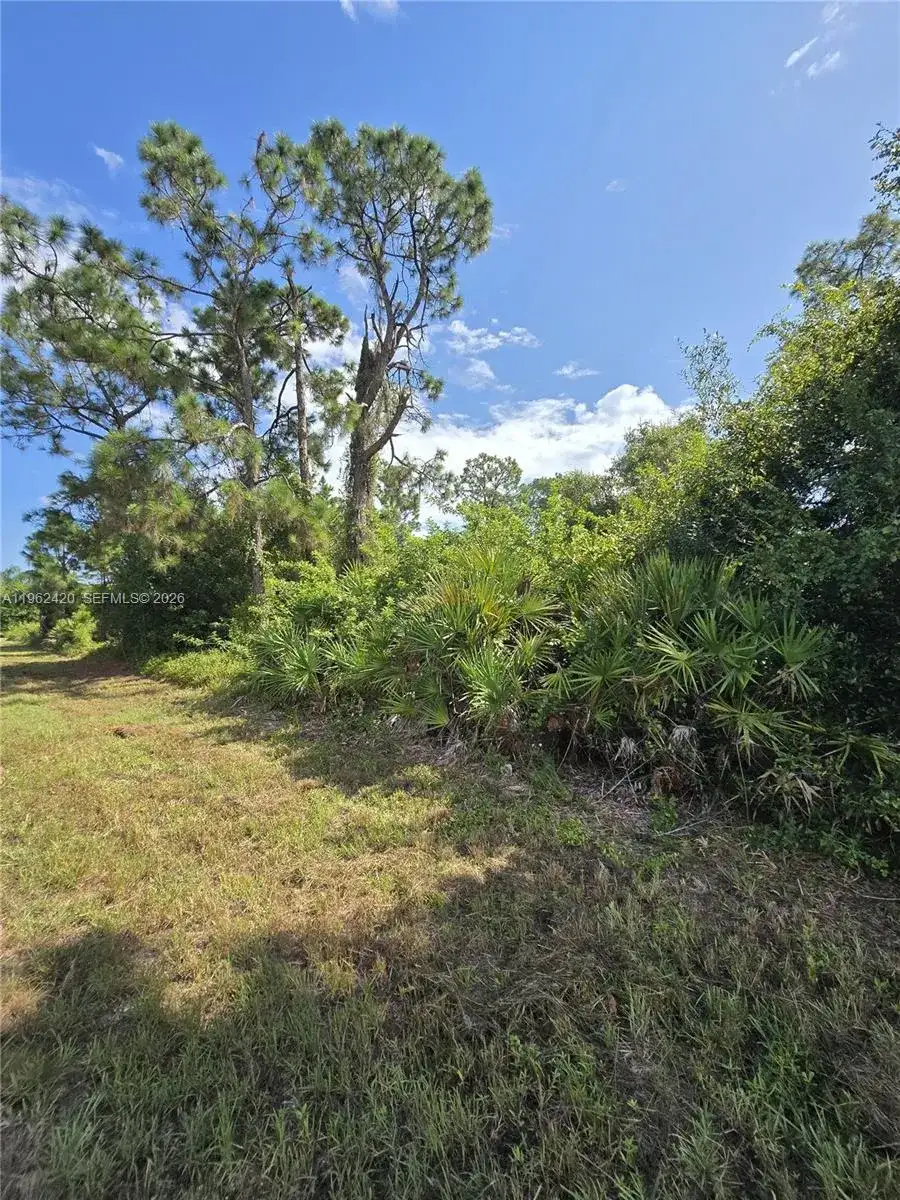 233 MALDEN AVE S, Lehigh Acres FL 33974 photo 3