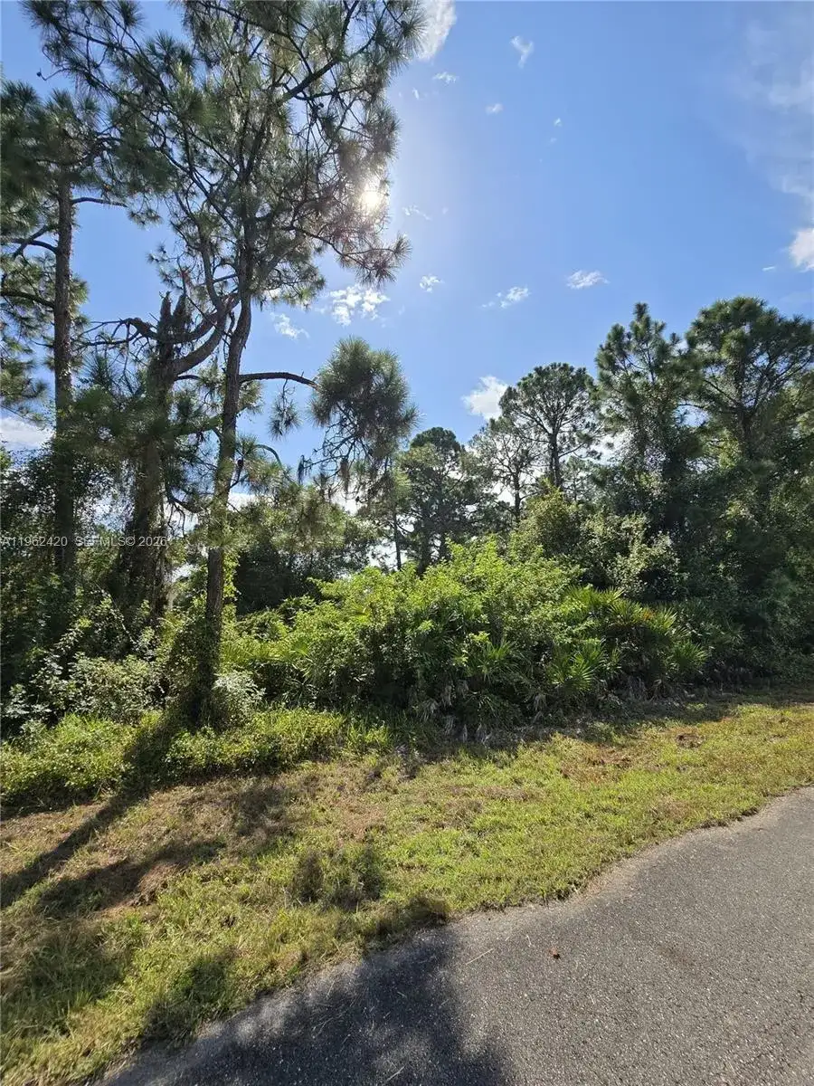 233 MALDEN AVE S, Lehigh Acres FL 33974 photo 4