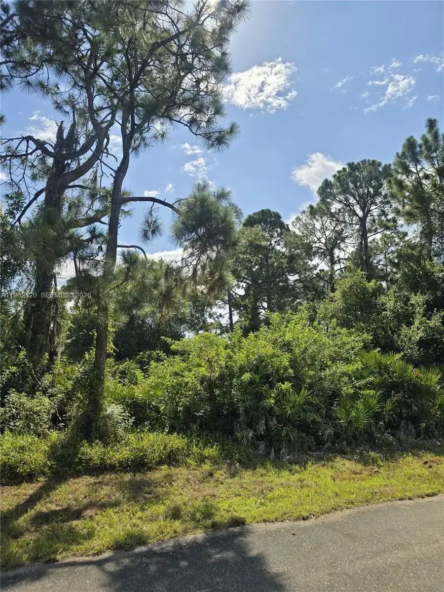 233 MALDEN AVE S, Lehigh Acres FL 33974 photo 5