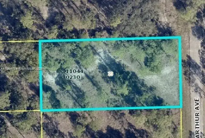 2321 MACARTHUR AVE, Lehigh Acres FL 33920 photo 2