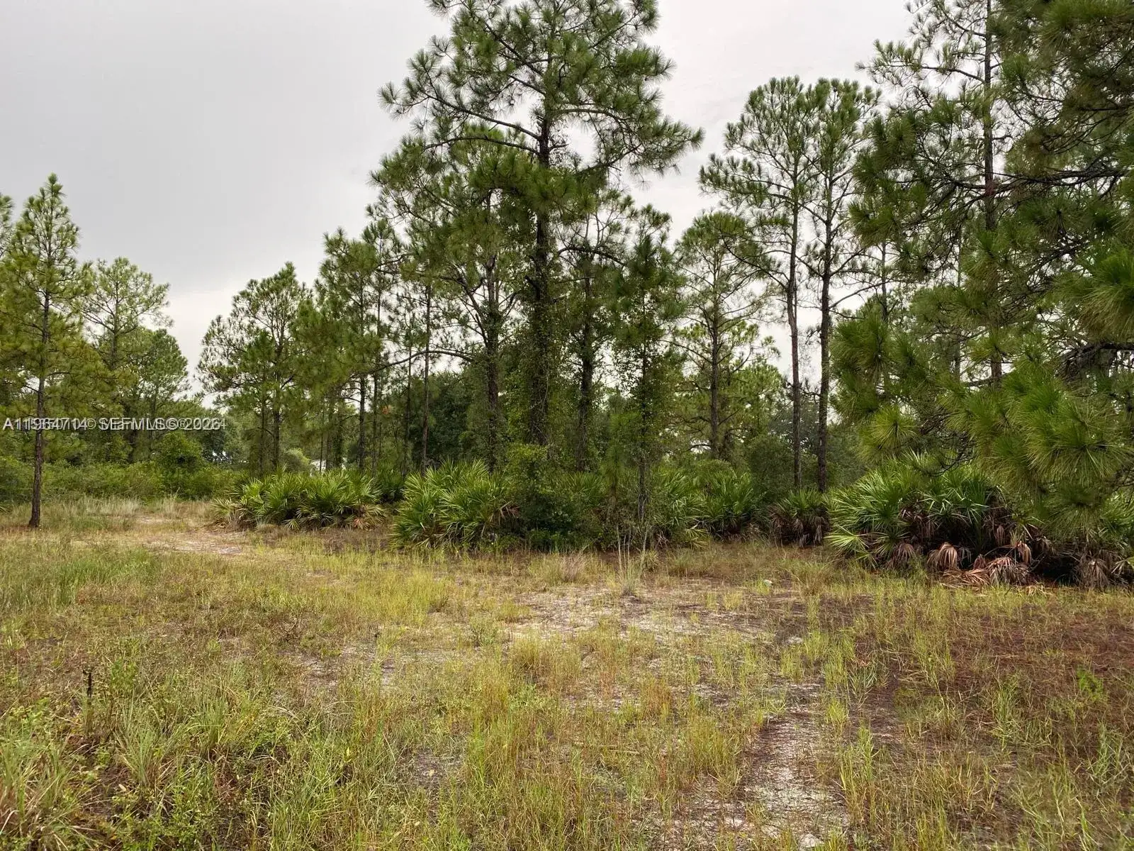 2321 MACARTHUR AVE, Lehigh Acres FL 33920 photo 3