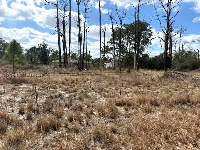 245 Moon River Avenue, Lake Placid FL 33852 photo 3