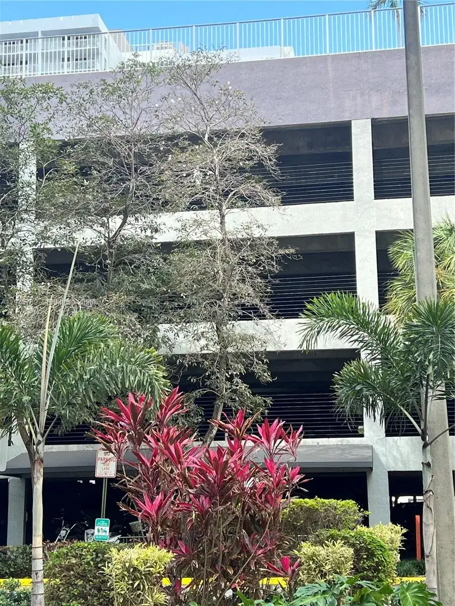 850 N Miami Ave # 1808, Miami FL 33136 photo 2