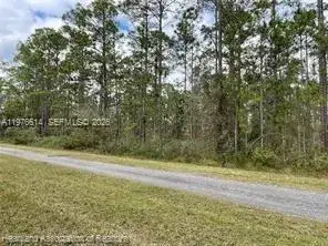 0 Oleander Drive, Lake Wales FL 33898 photo 5