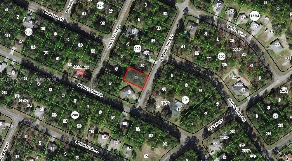 10684 N Burbank Ave, Citrus Springs FL 34434 photo 2