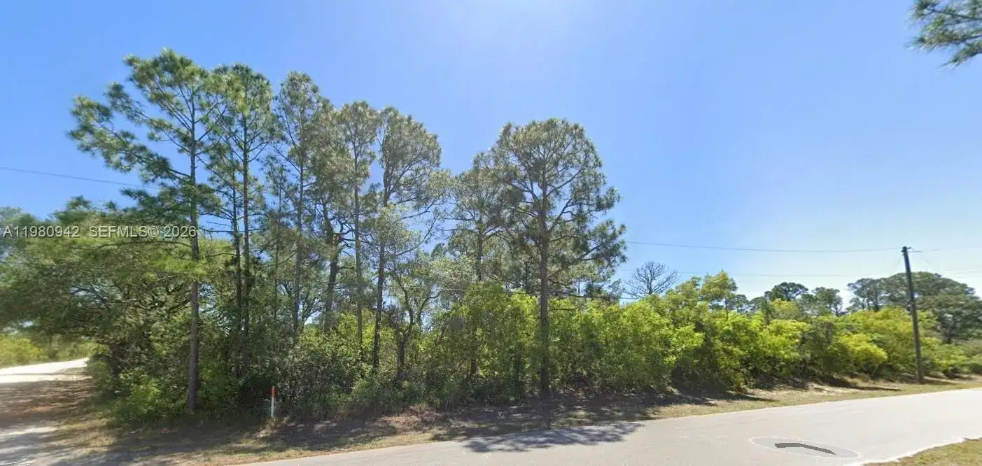 235 Deerwalk Ave, Lake Placid FL 33852 photo 2