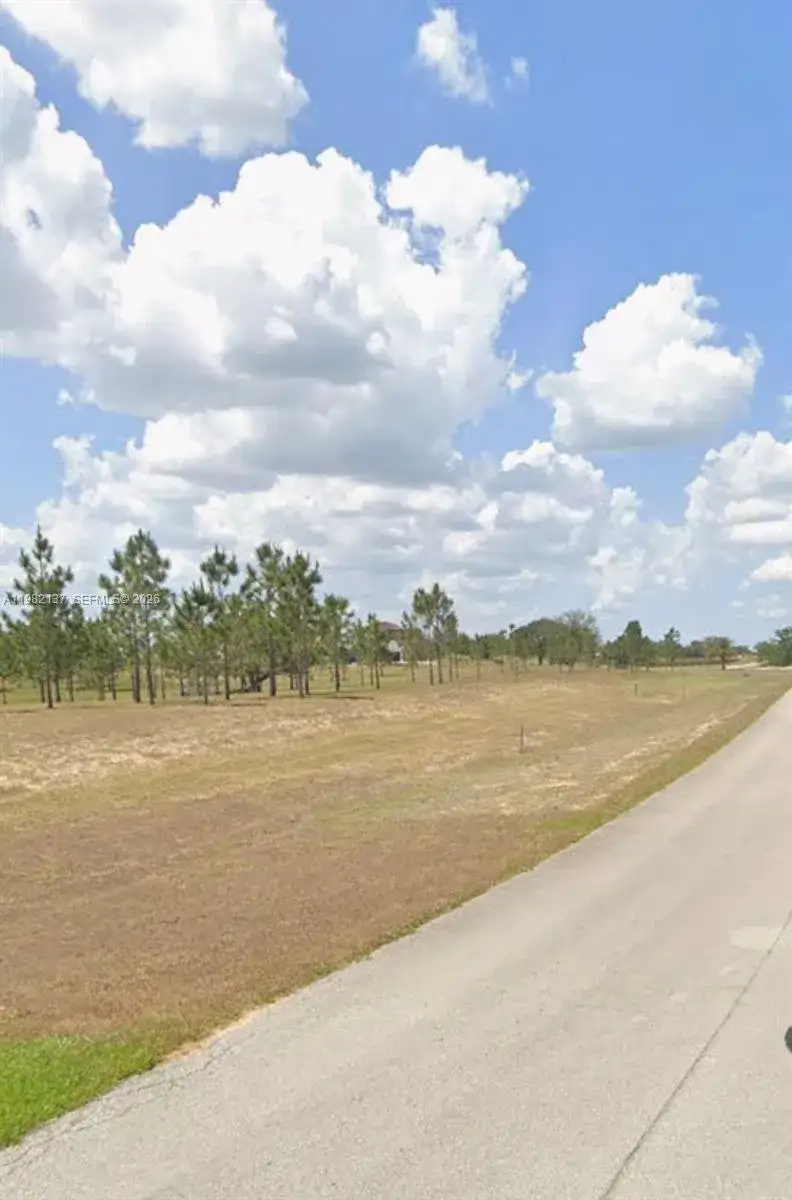 1009 ORANGE CREEK LN, Sebring FL 33870 photo 2