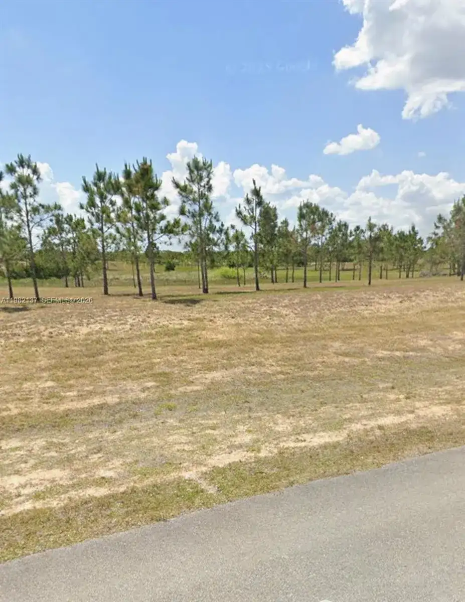 1009 ORANGE CREEK LN, Sebring FL 33870 photo 3