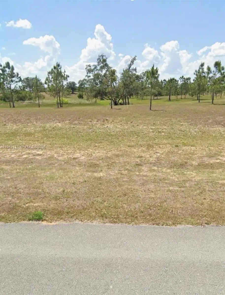 1009 ORANGE CREEK LN, Sebring FL 33870 photo 4