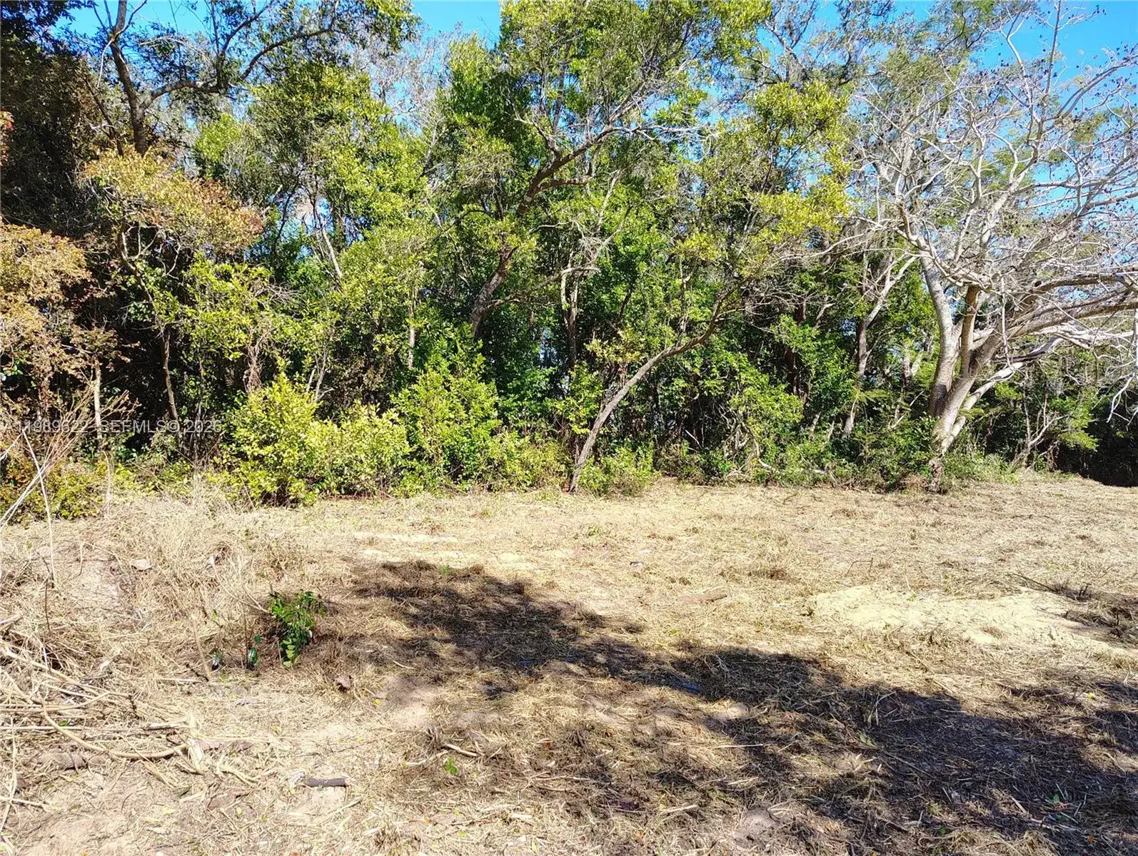 3505 Bethune, Sebring FL 33876 photo 2