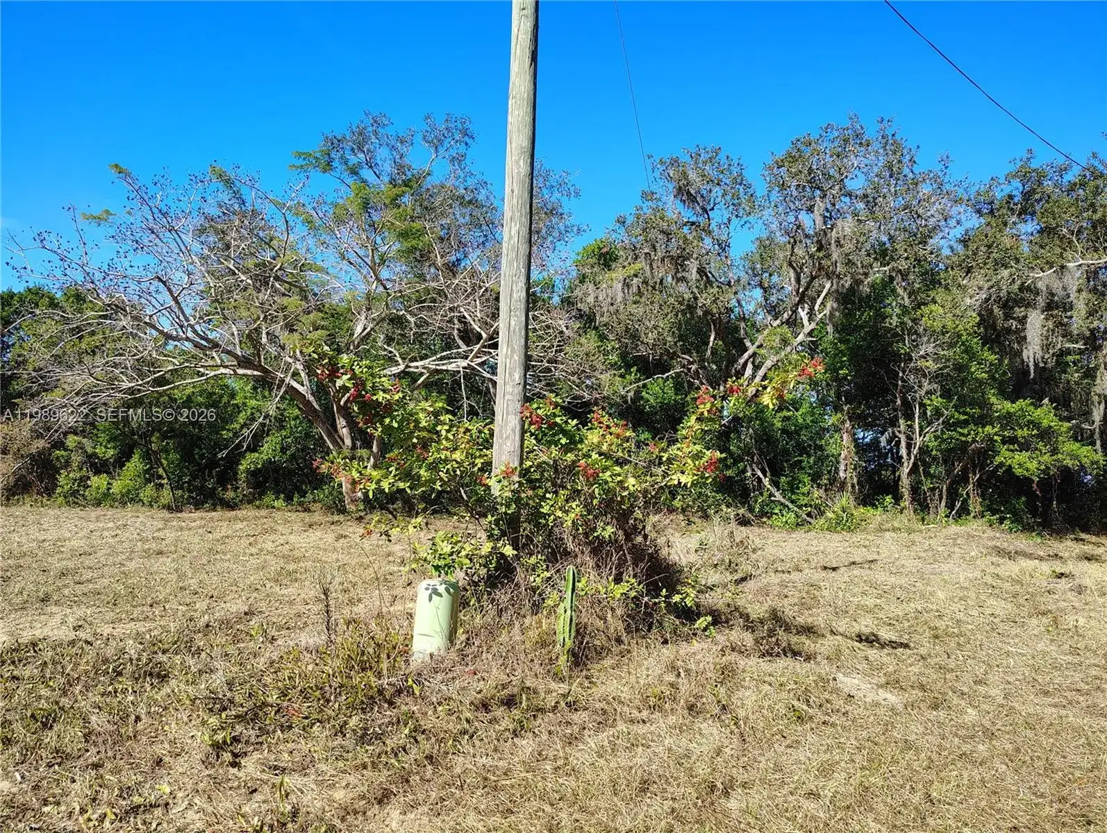 3505 Bethune, Sebring FL 33876 photo 3
