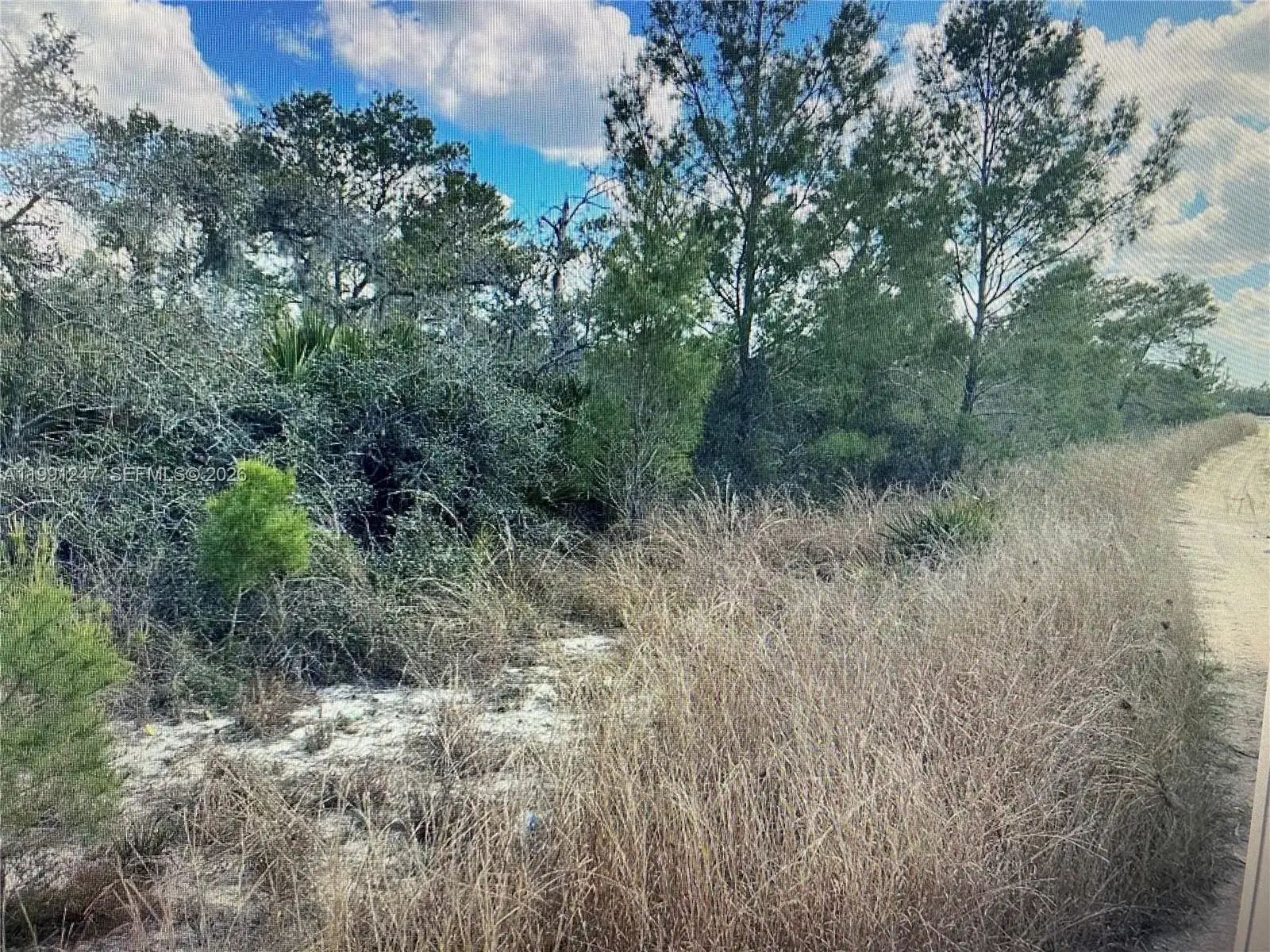 123 DARTMOOR AVE, Lake Placid FL 33852 photo 3