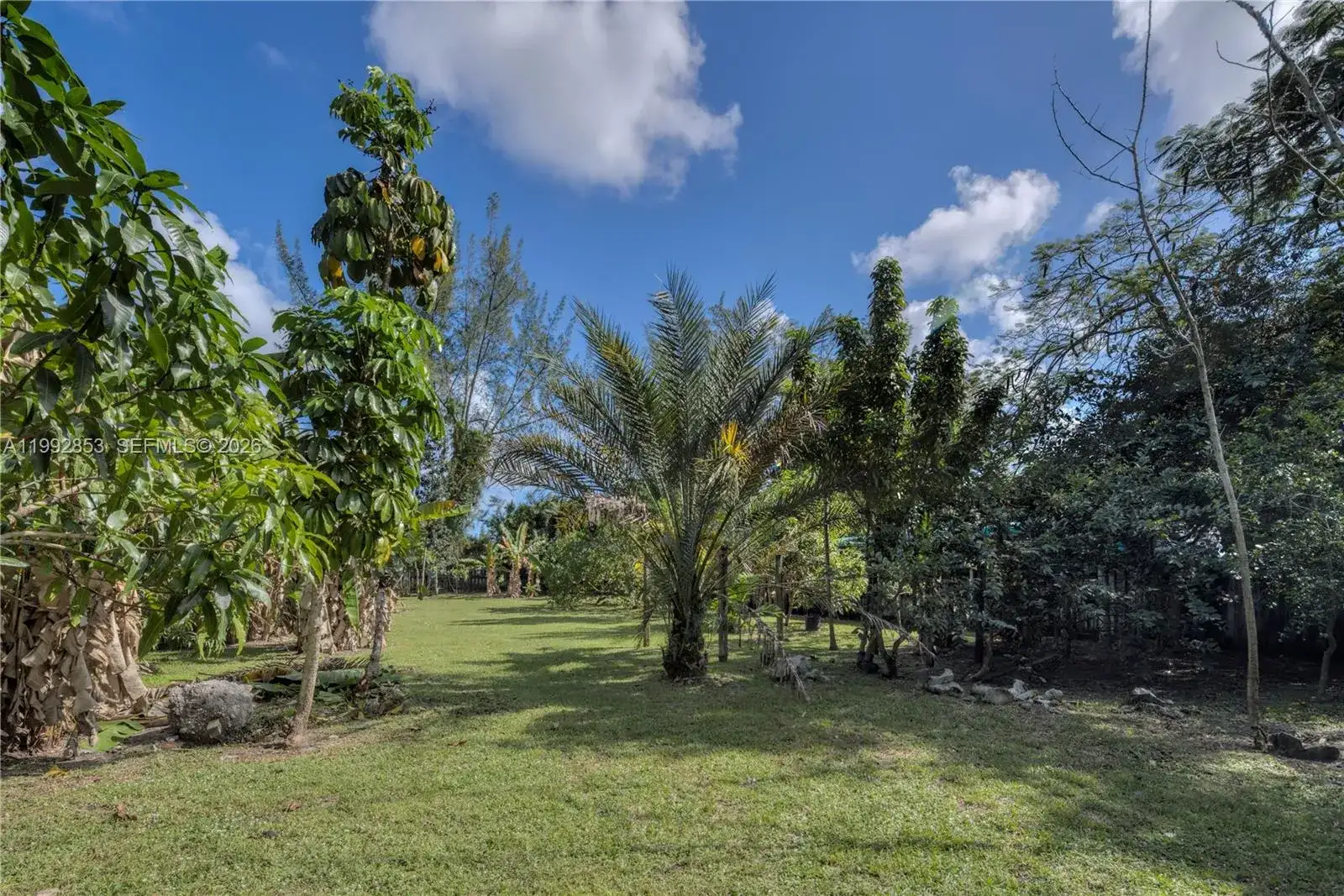 14115 NW 5th Ave # 1, Miami FL 33168 photo 5