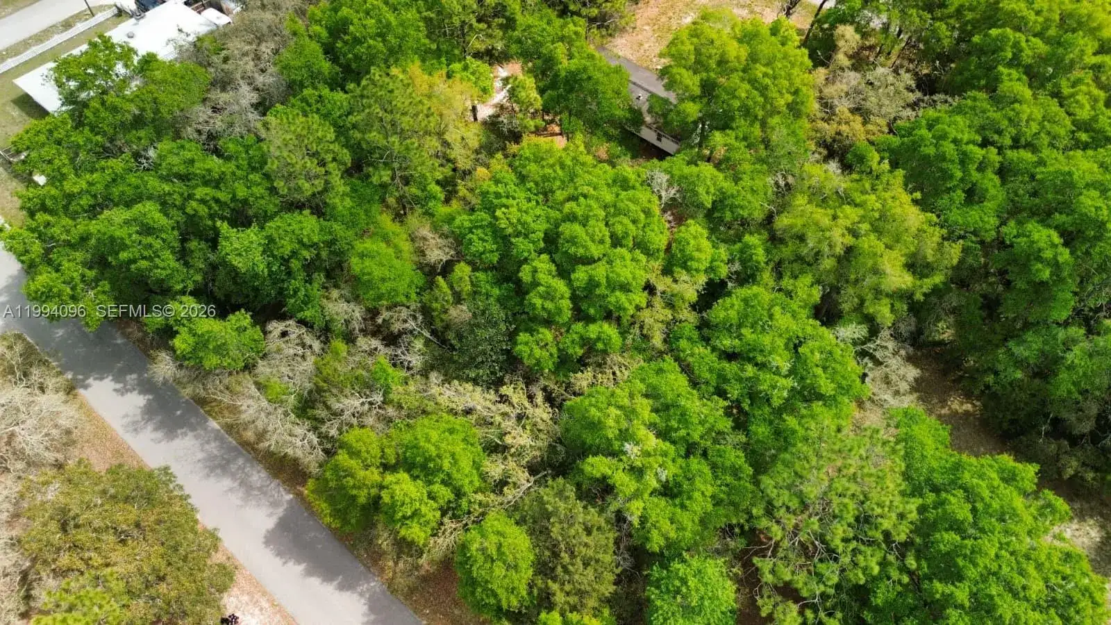 Lot 29 Nw 120th Ave, Ocala FL 34482 photo 4