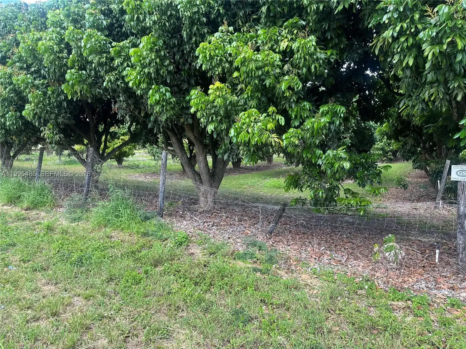 SW 344 St., Homestead FL 33034 photo 3