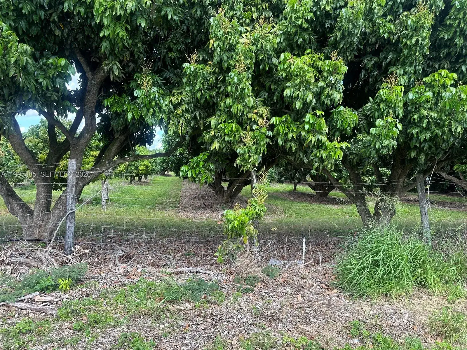 SW 344 St., Homestead FL 33034 photo 4