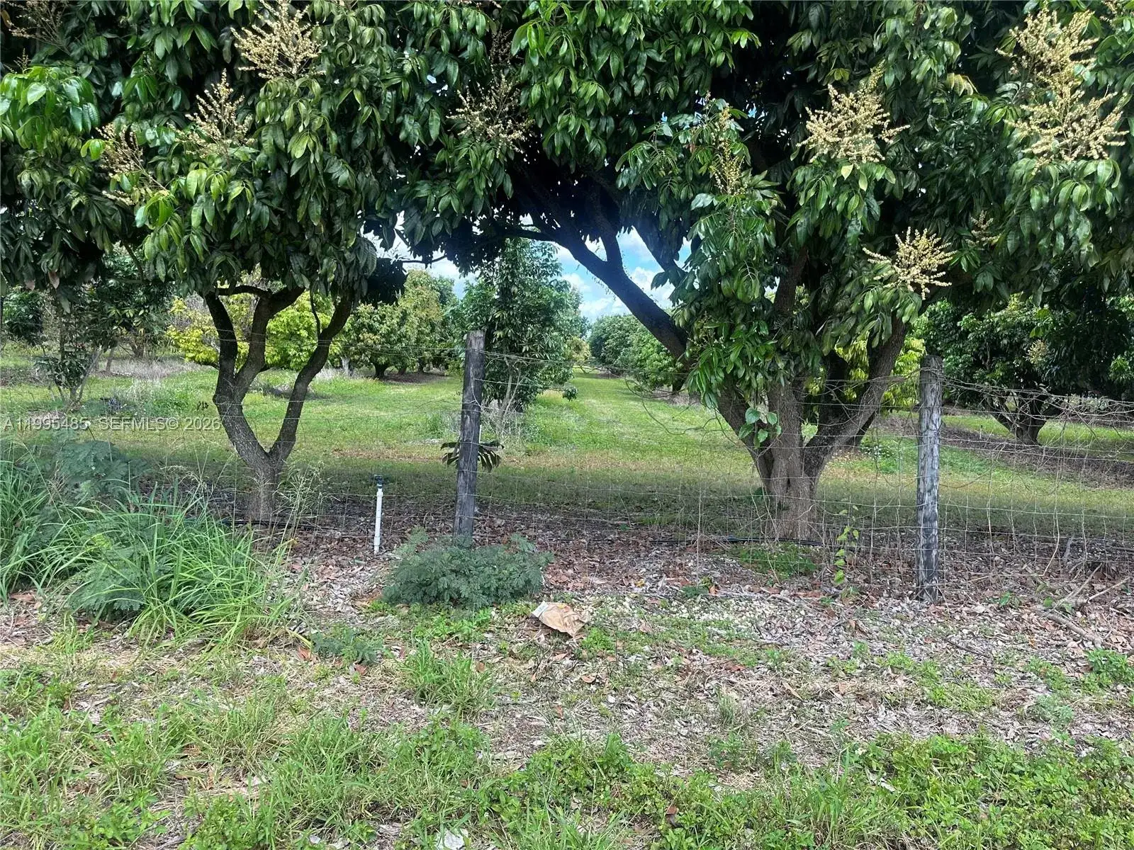 SW 344 St., Homestead FL 33034 photo 5
