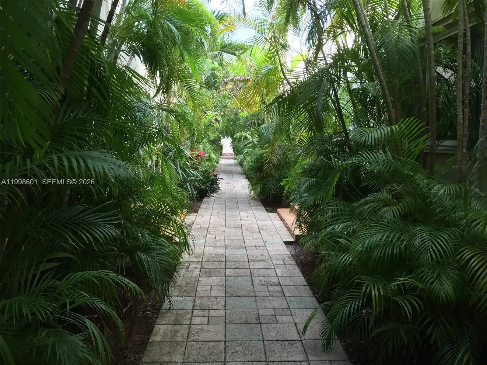 4740 Pine Tree Dr # 26, Miami Beach FL 33140 photo 4
