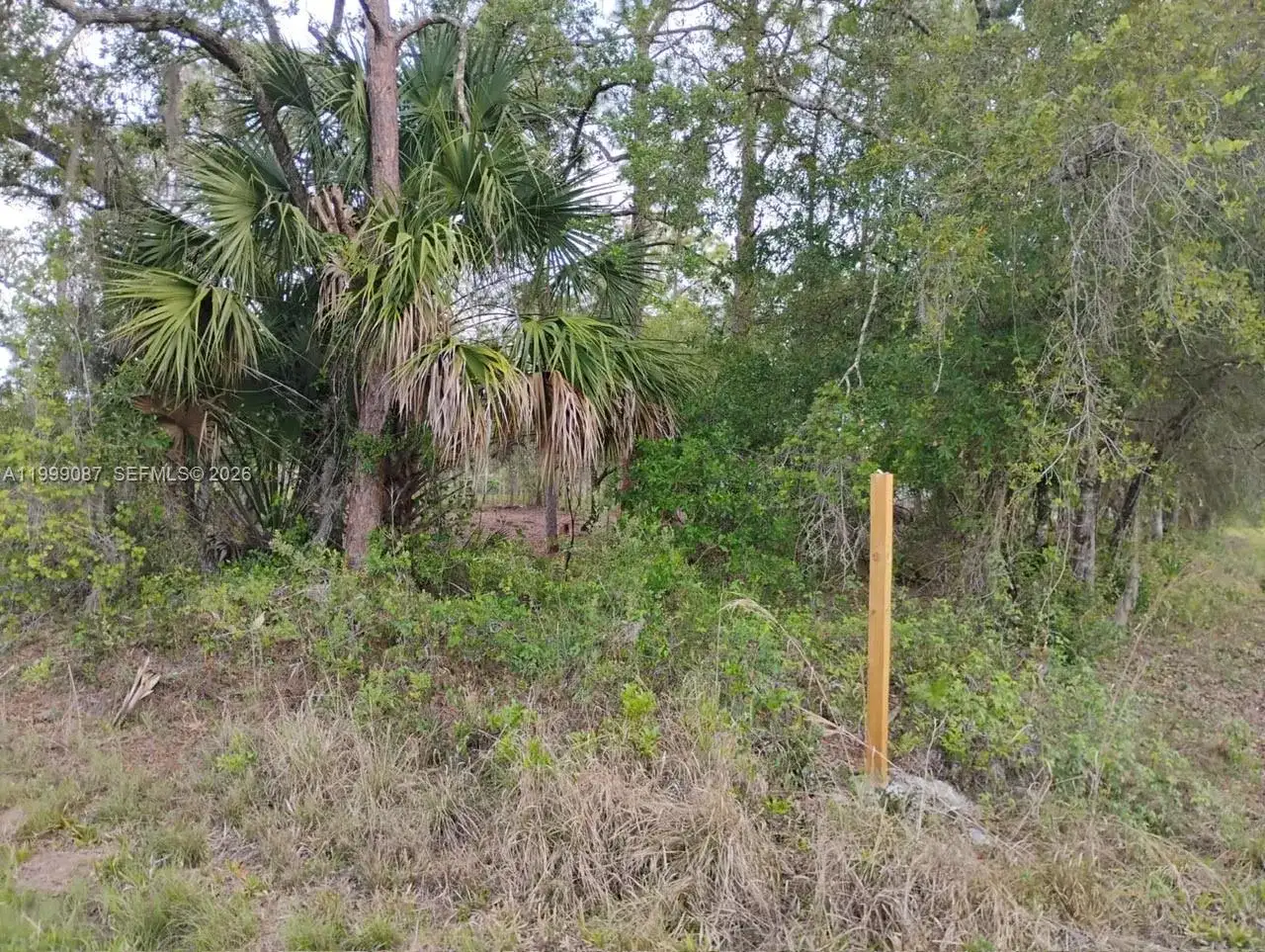 845 Appaloosa Avenue, Clewiston FL 33440 photo 3