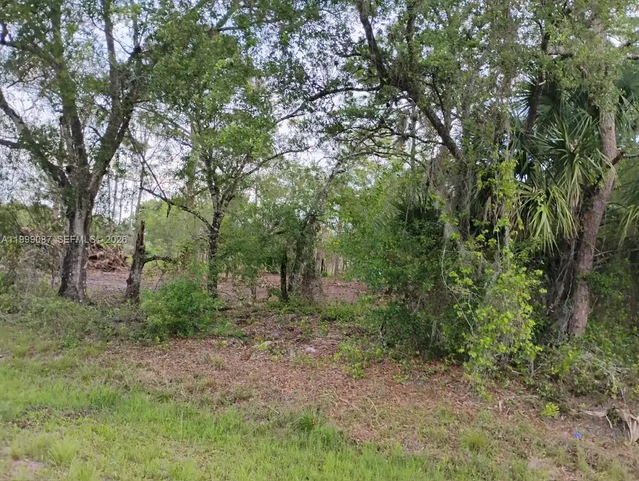 845 Appaloosa Avenue, Clewiston FL 33440 photo 4
