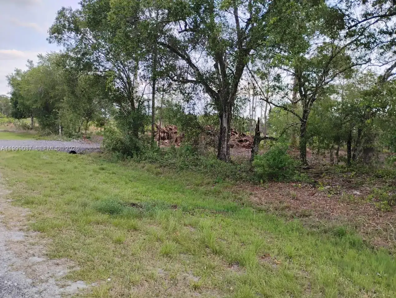 845 Appaloosa Avenue, Clewiston FL 33440 photo 5