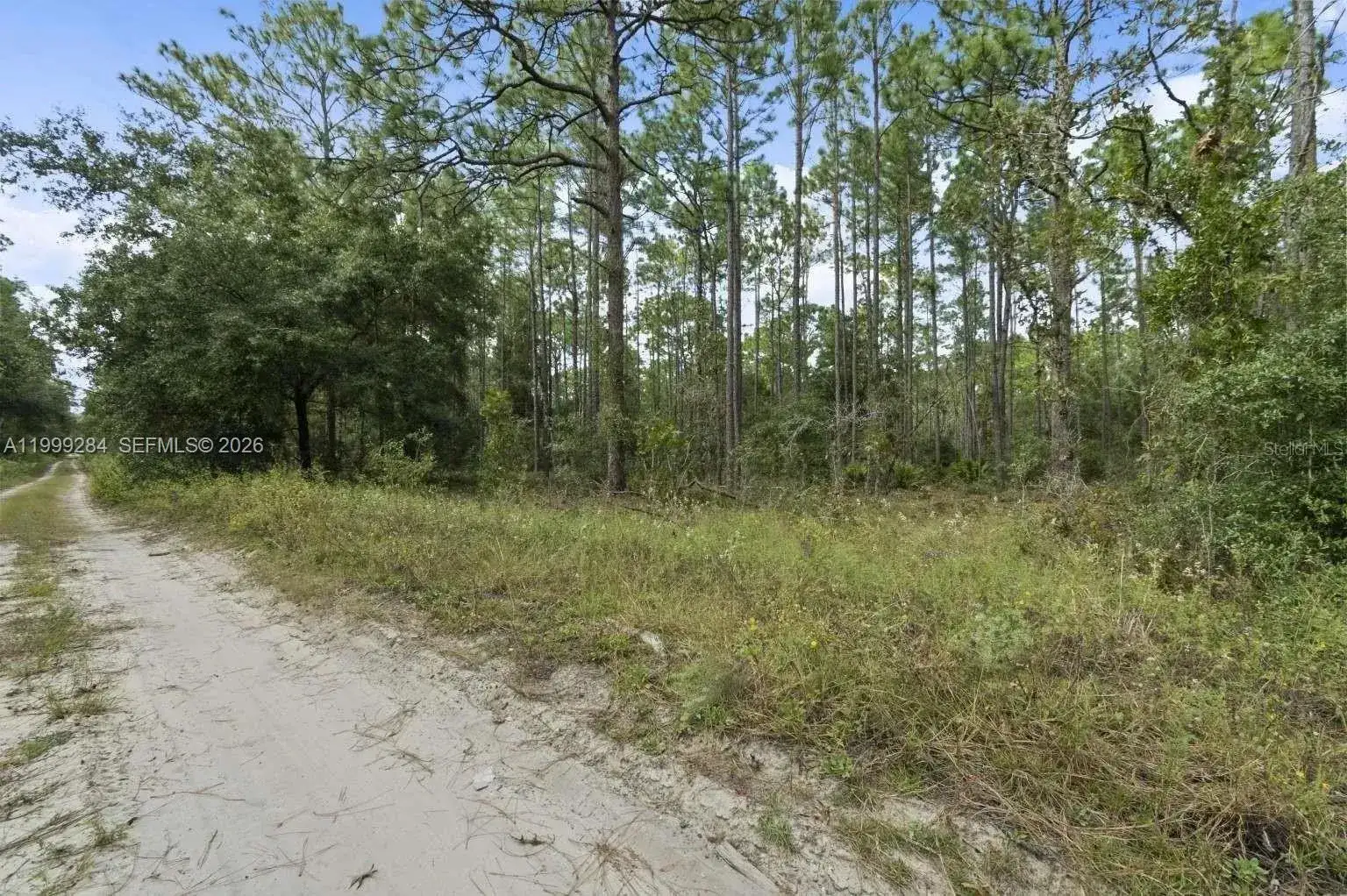 0 SW 30th ST, Ocala FL 34481 photo 3