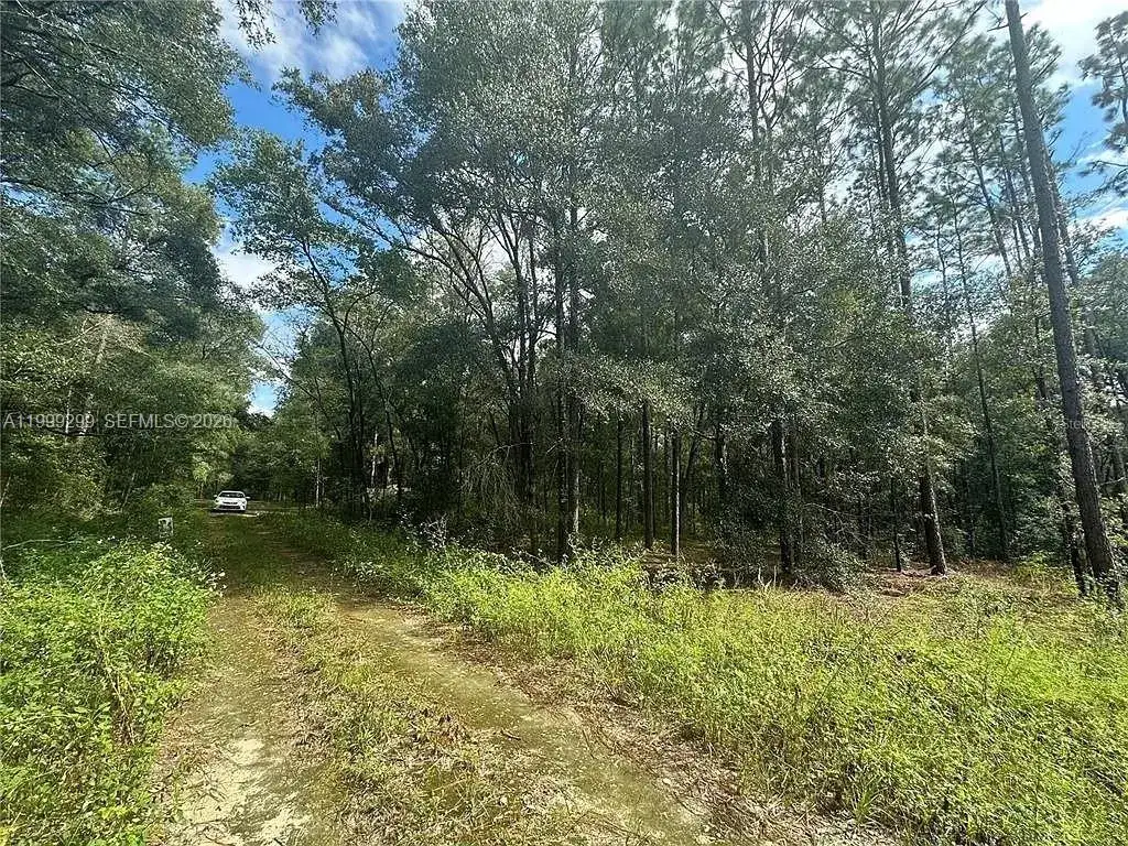 0 SW 153rd AVE, Ocala FL 34481 photo 2