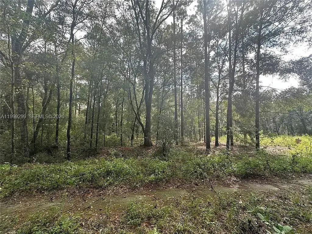0 SW 153rd AVE, Ocala FL 34481 photo 3