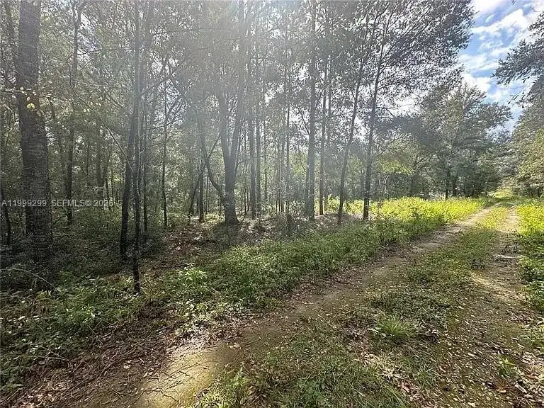 0 SW 153rd AVE, Ocala FL 34481 photo 4
