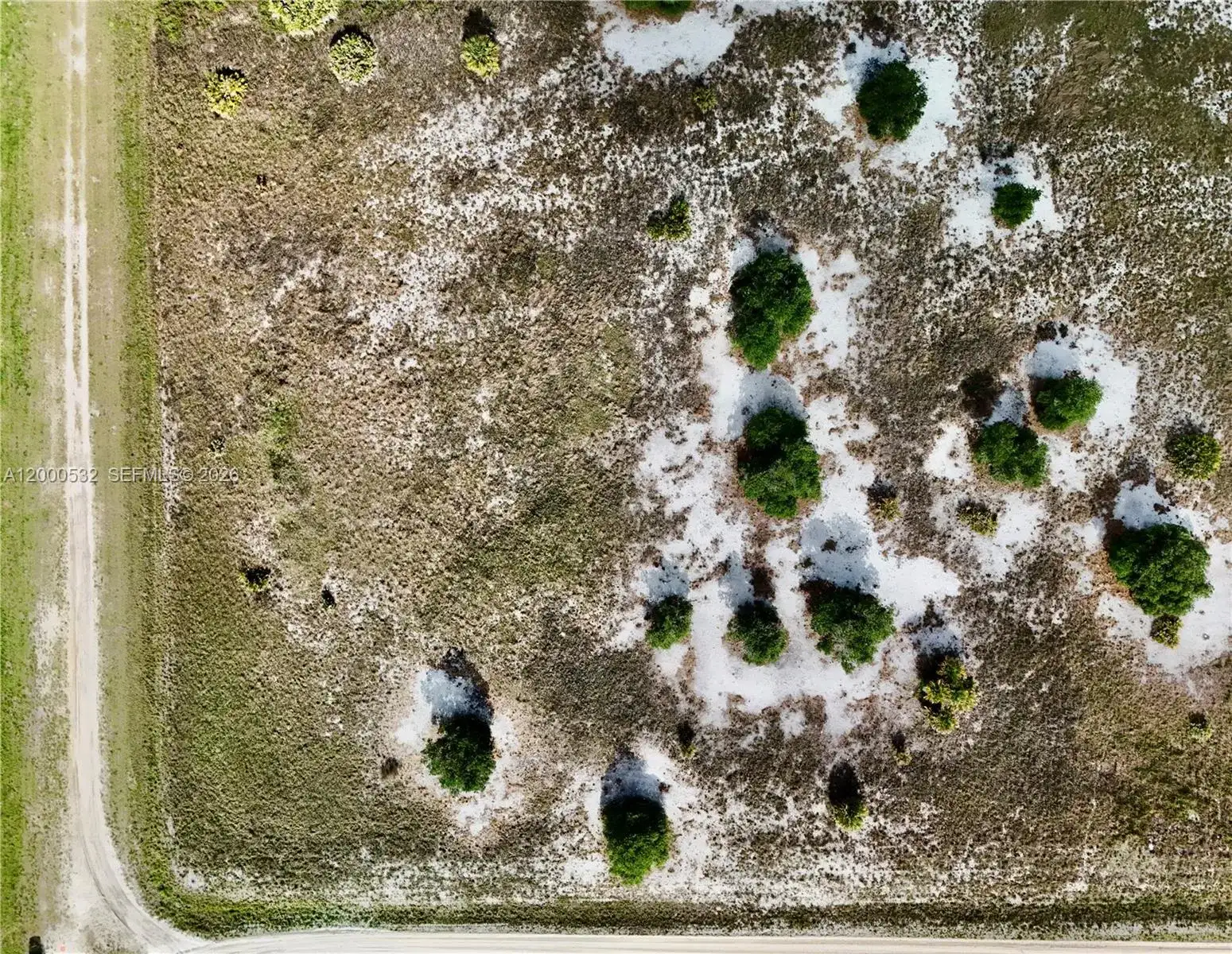 16734 NW 242ND, Okeechobee FL 34972 photo 2