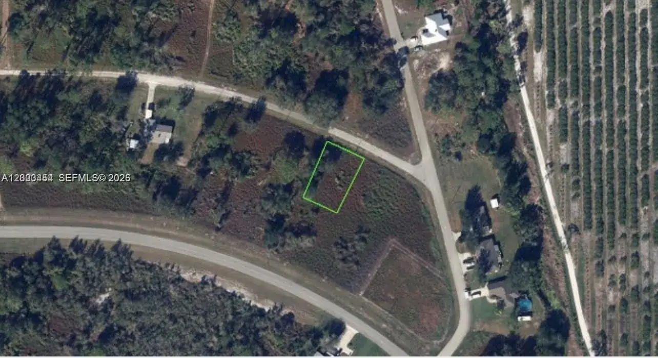 567 NE Farrell Drive, Lake Placid FL 33852 photo 2