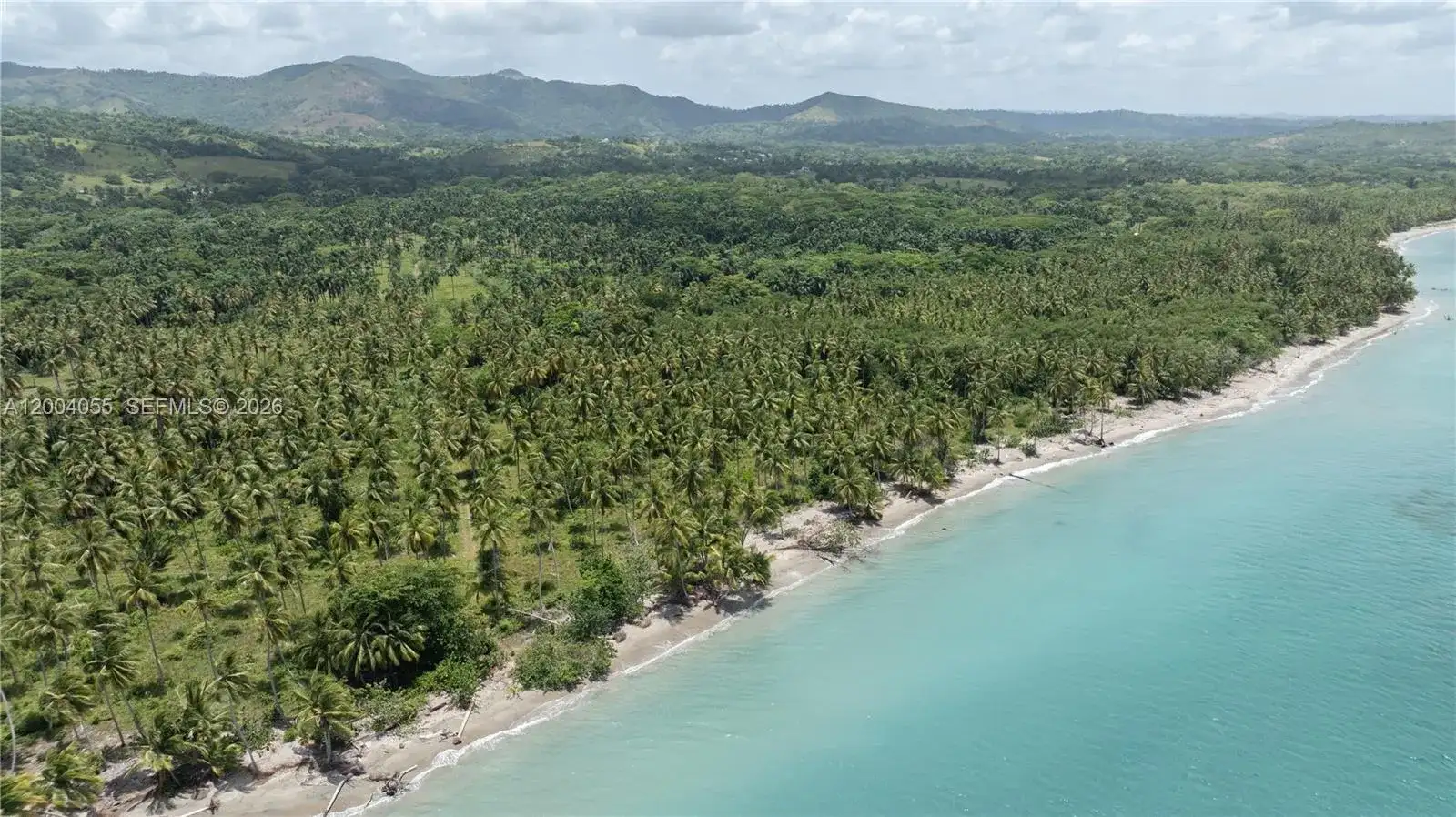 PLAYA MAGANTE, FL photo 4