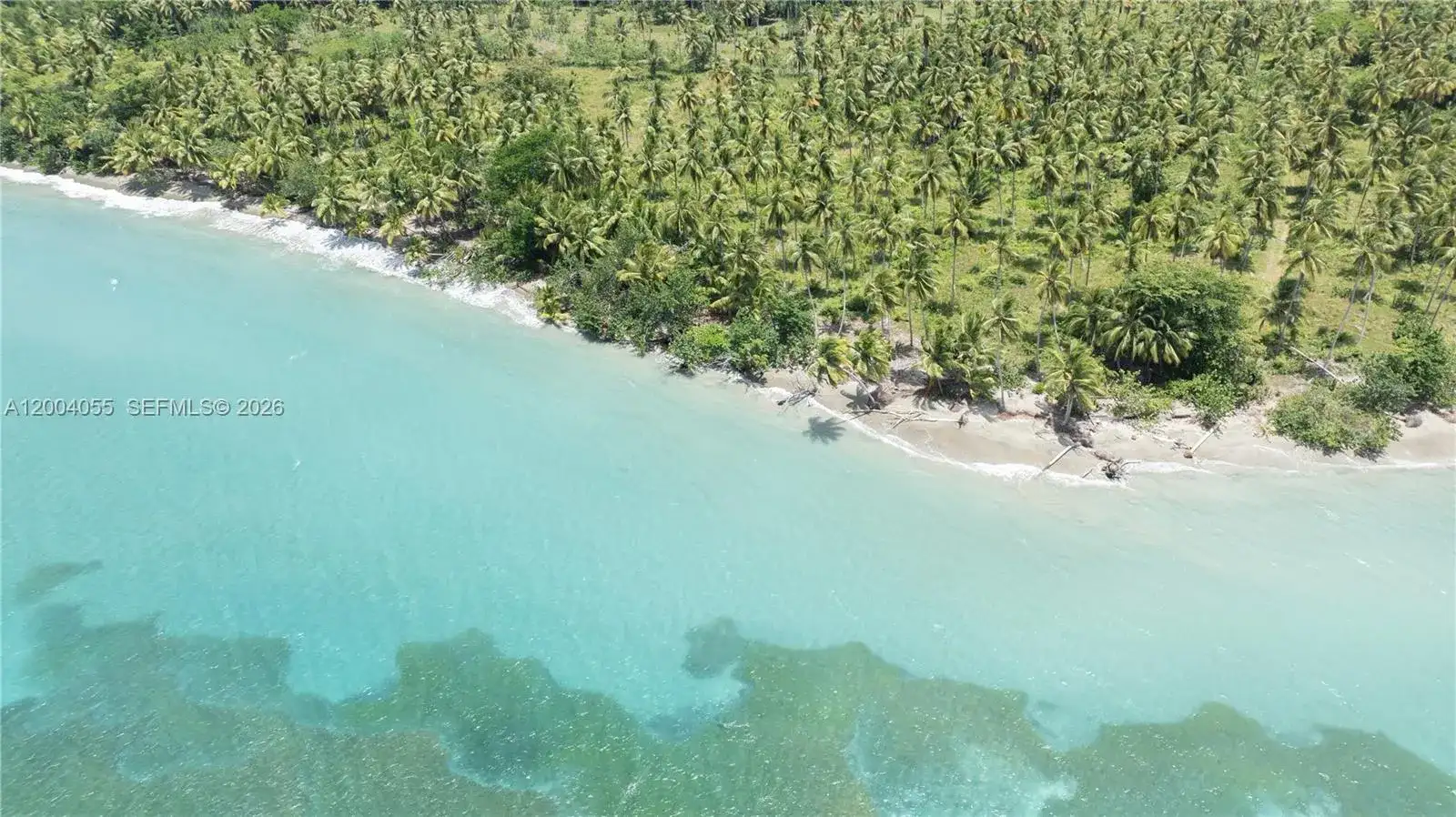 PLAYA MAGANTE, FL photo 5
