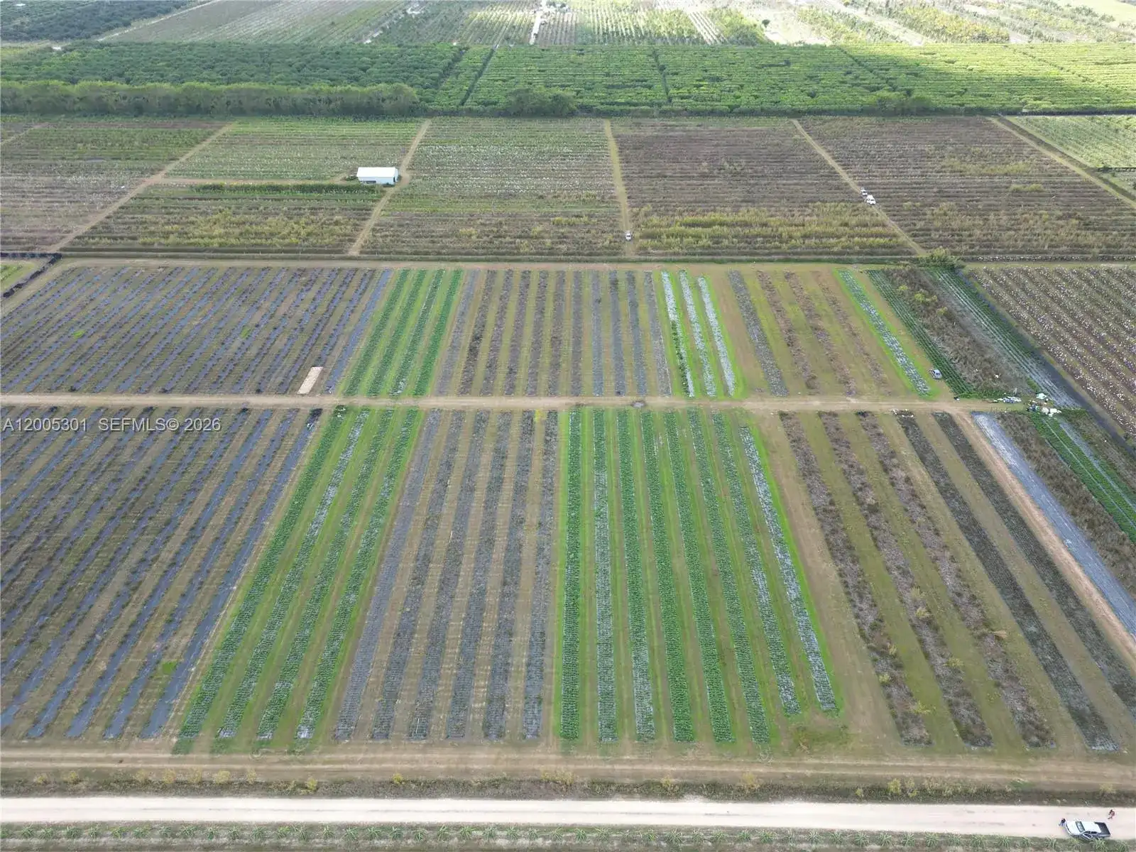 34000 SW 222th Ave, Homestead FL 33034 photo 3