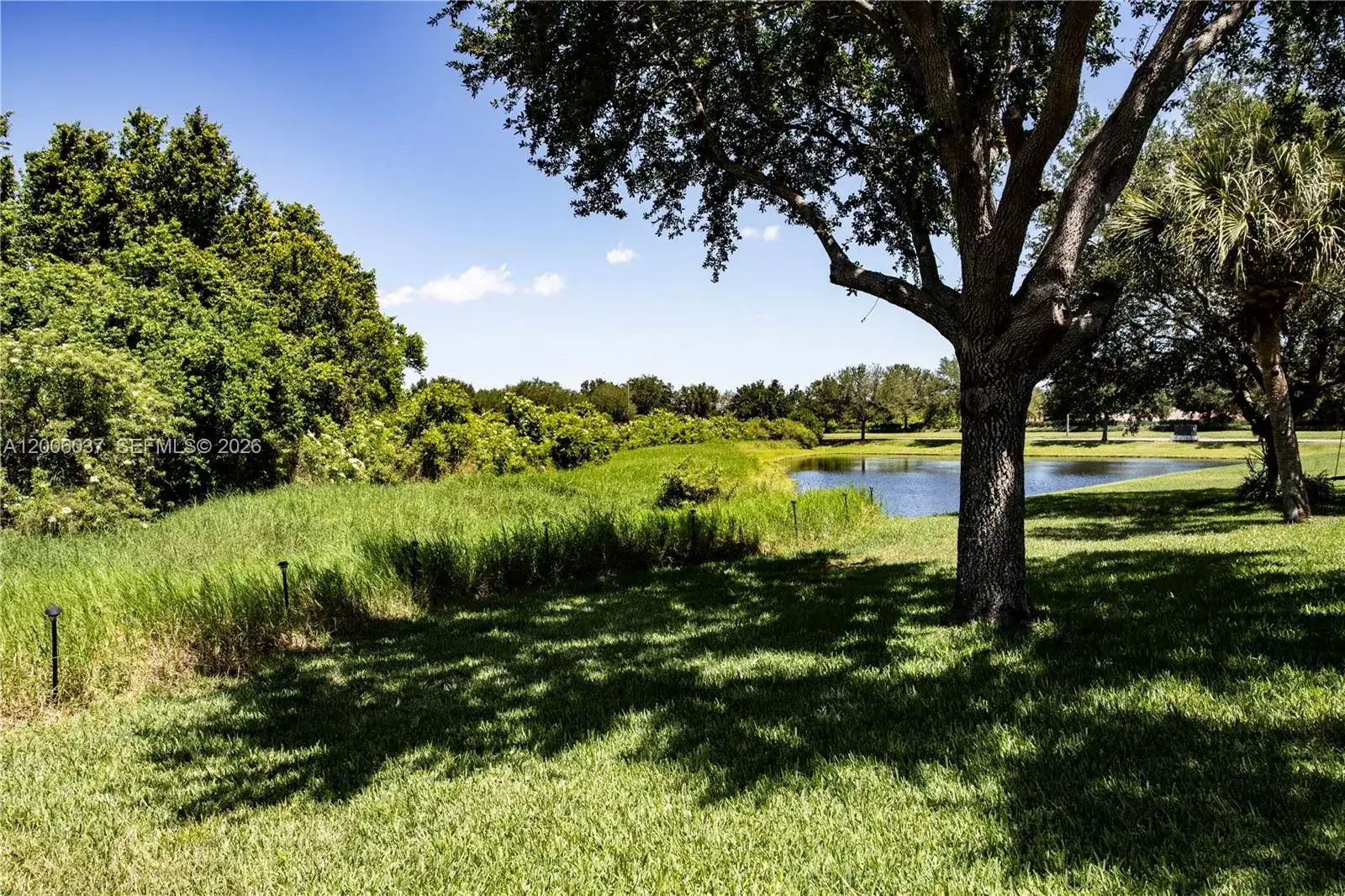 11413 MOUNTAIN BAY DR, Riverview FL 33569 photo 4