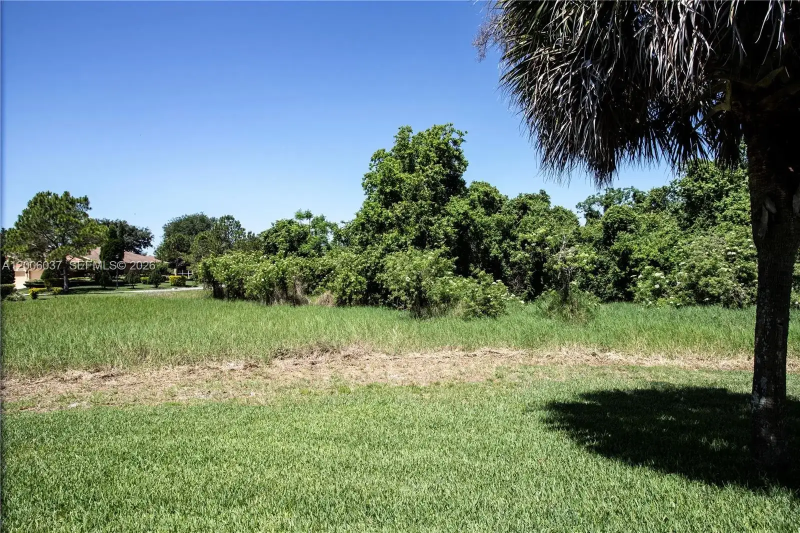 11413 MOUNTAIN BAY DR, Riverview FL 33569 photo 5