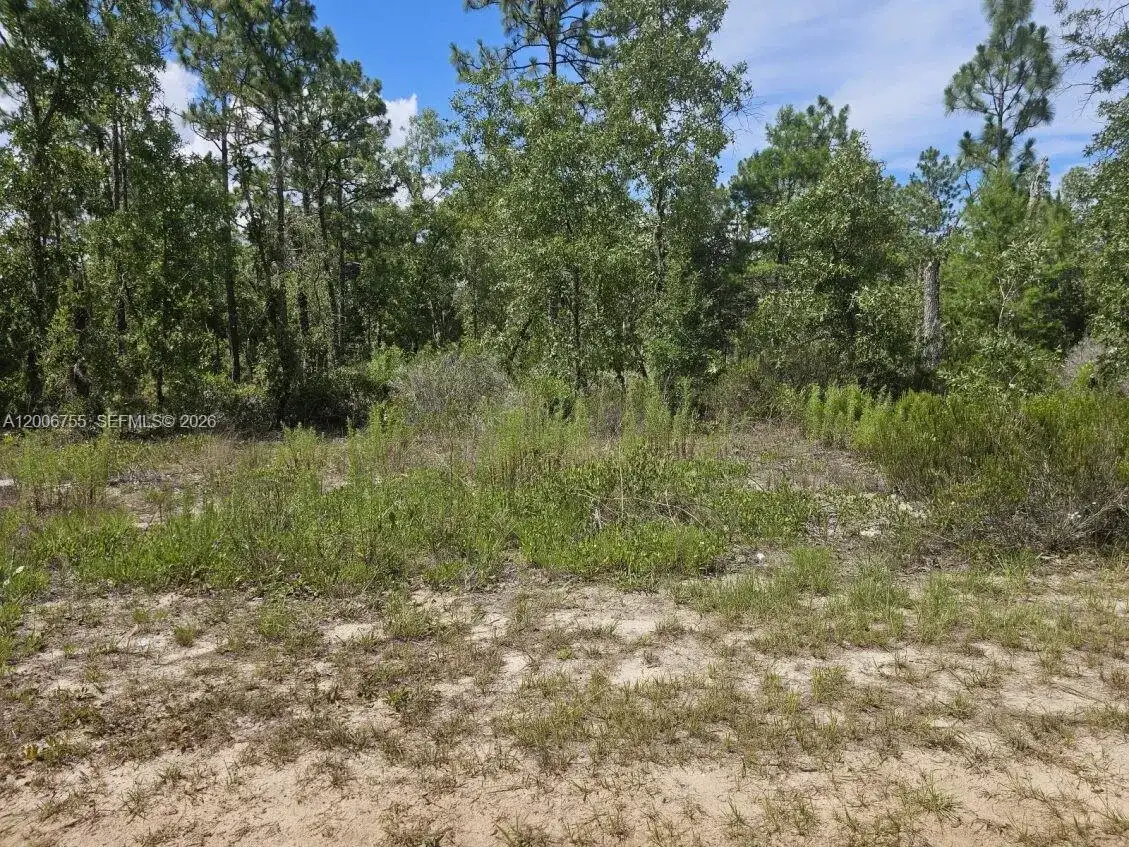 136 Utah ST, Palatka FL 32640 photo 3