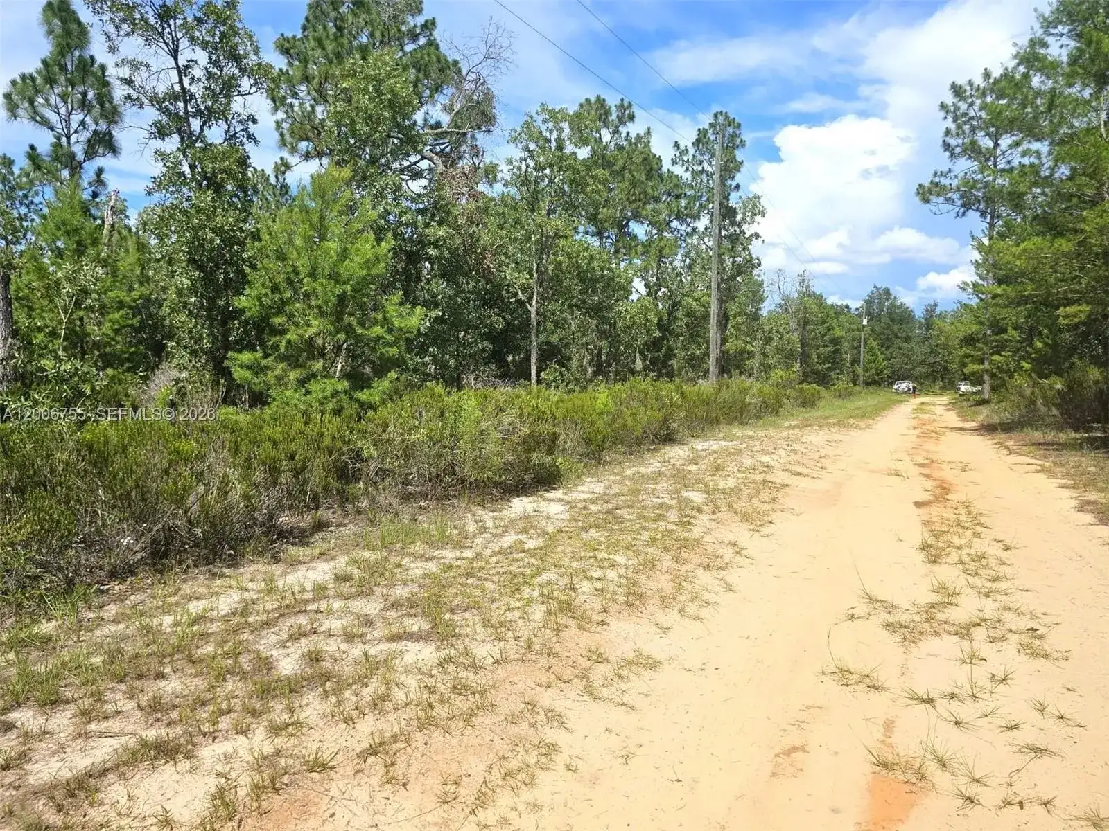 136 Utah ST, Palatka FL 32640 photo 4