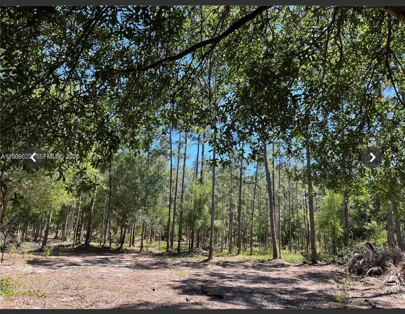 5120 18TH PIONEER, Clewiston FL 33440 photo 2