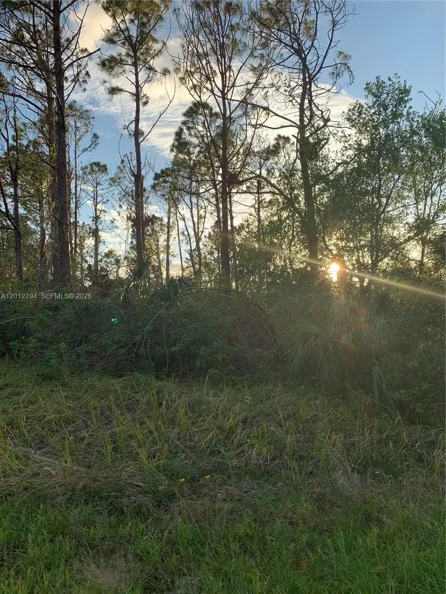 0 Hamerton, North Port FL 34288 photo 3