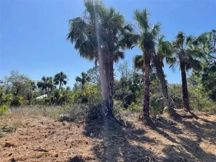 14375 Howard Avenue, Port Charlotte FL 33953 photo 4