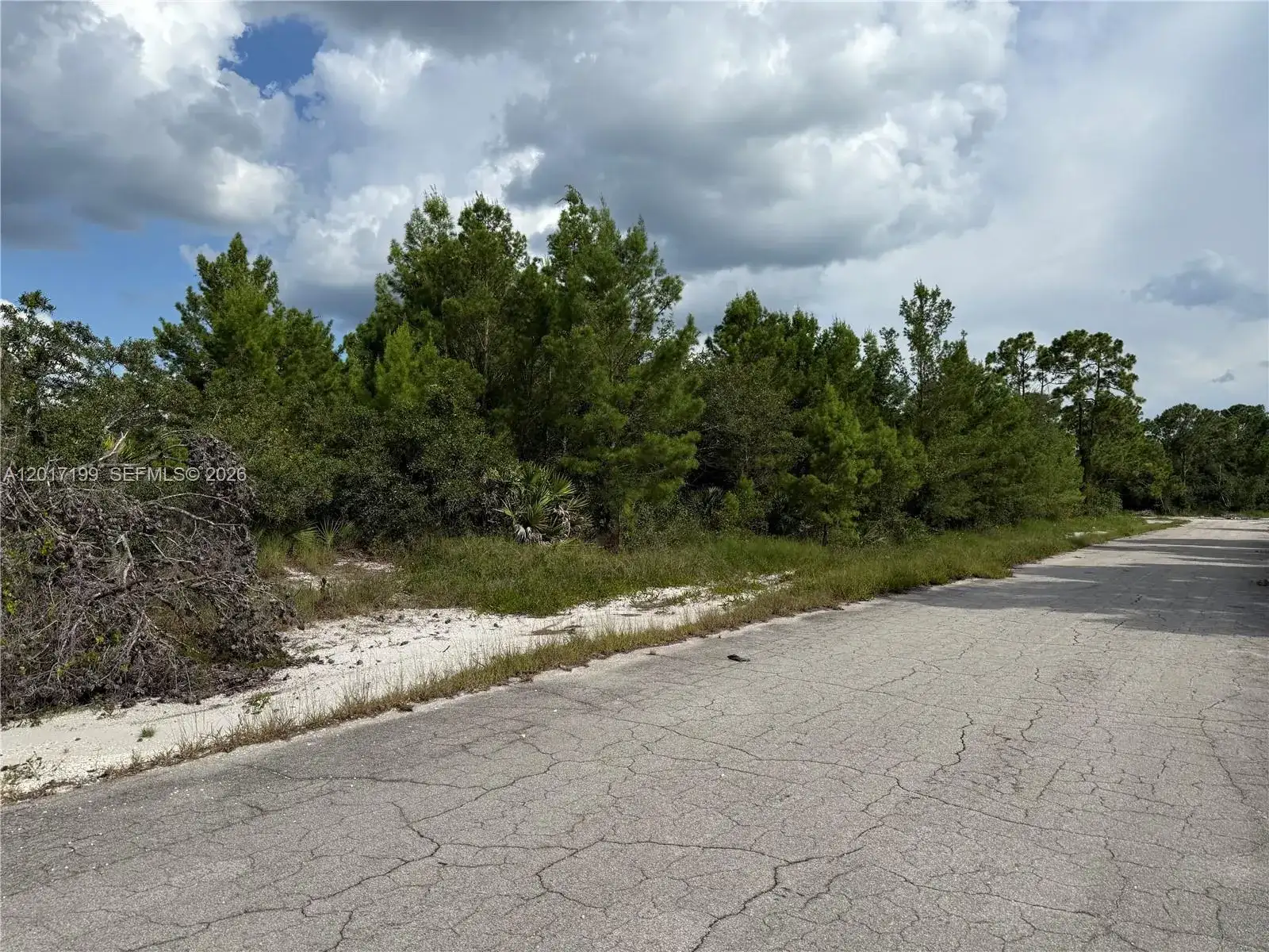 1518 Mangrove Street, Lake Placid FL 33852 photo 2