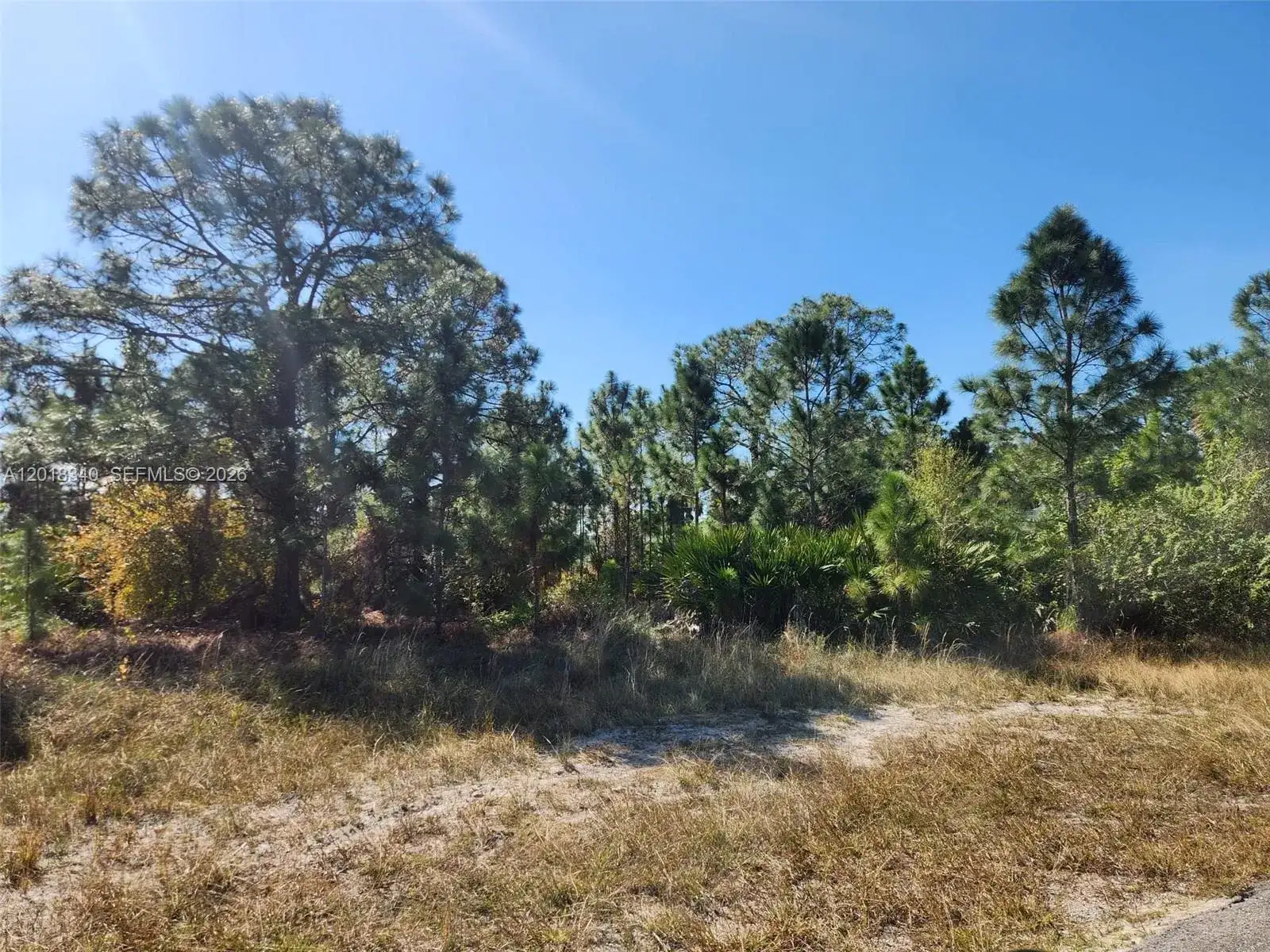 706 JOHNS AVE, Lehigh Acres FL 33972 photo 3