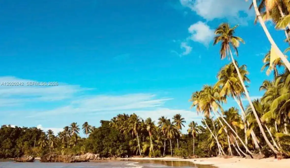 SAMANA, SANCHEZ-LOS ROBALOS, FL photo 3
