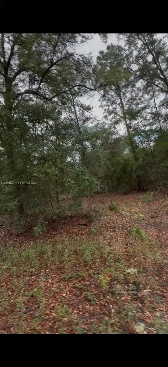 1699 SW 153 Ct, Ocala FL 34481 photo 2