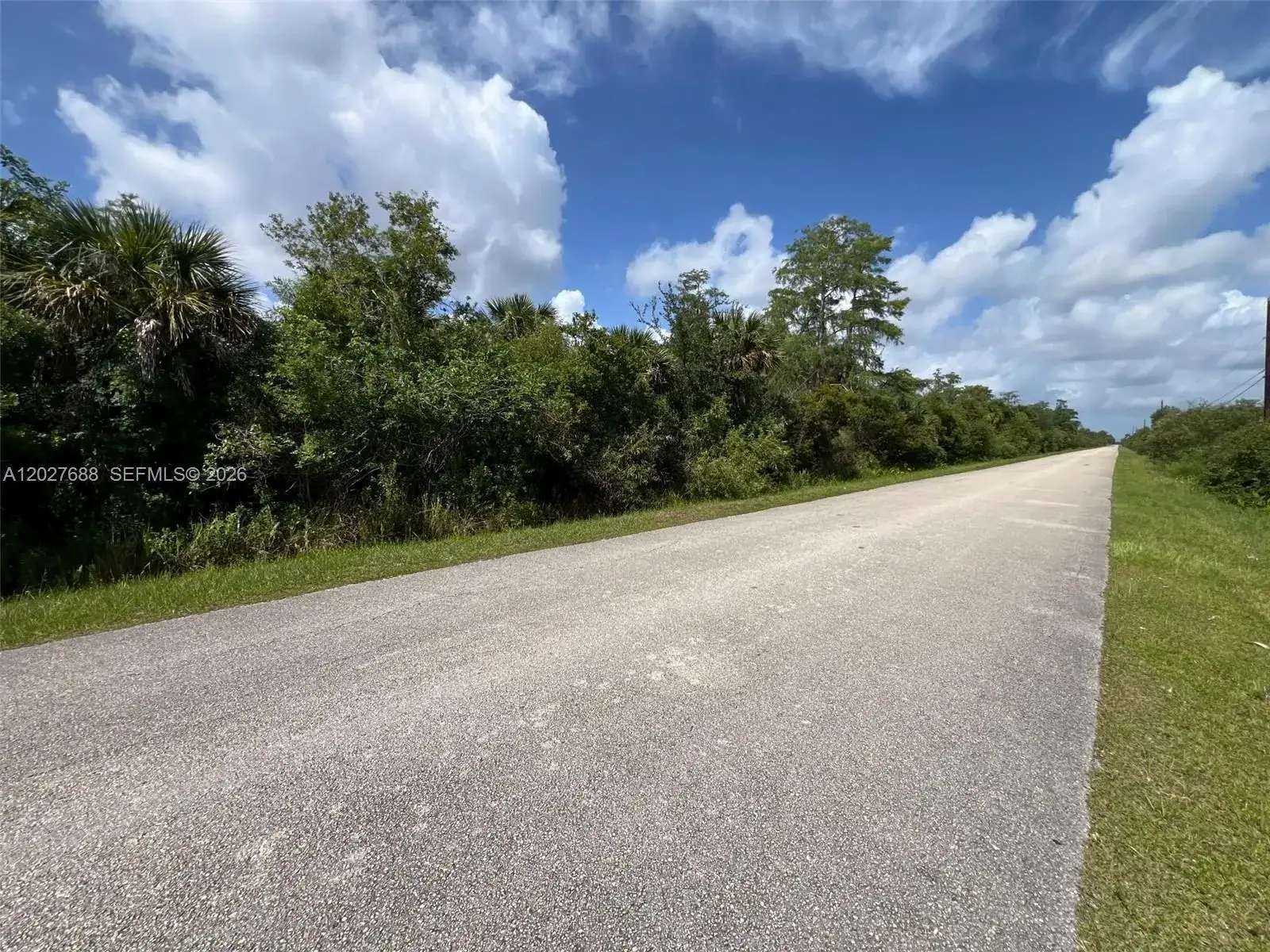 0 37th Avenue NE, Naples FL 34120 photo 3